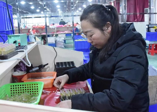 大龍企業 優質產品驅動訂單增長，培訓活動助力持續發展